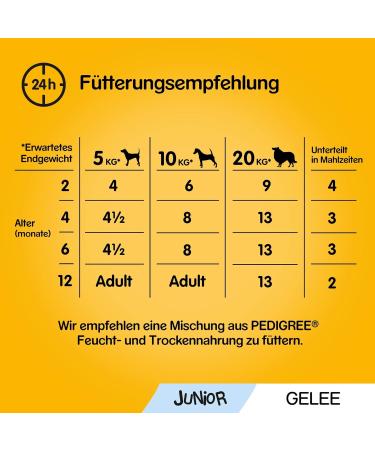 PEDIGREE Vital Protection Junior Pouches - Chicken & Rice in Jelly 24 x 100g | Premium Dog Food for Healthy Growth - Buy Online on SooperMarket.com