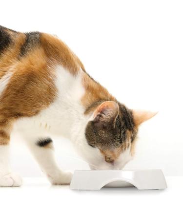 Catit Shallow Double Food Bowl - White | Sleek & Modern Design - Buy Online on SooperMarket.com