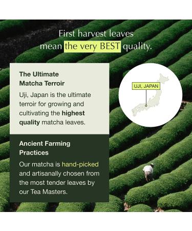 Encha Ceremonial Grade Matcha Green Tea Powder - Organic Japanese Matcha Tea From Uji, Japan - 30g/1.06oz, First Harvest - Pack of 1 - Buy Online on SooperMarket.com