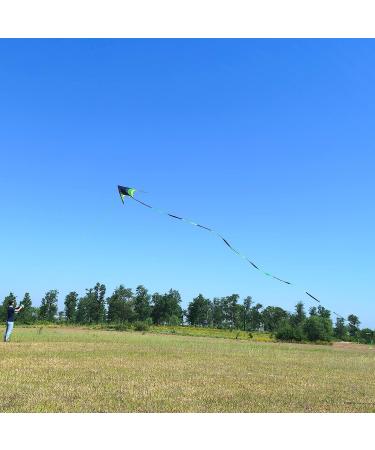 Flying Hoofer Delta Kite for Kids and Adults - Easy to Fly 9ft Huge Delta Kite with 98ft Tail - Perfect Kite for Beginners - Buy Online on SooperMarket.com