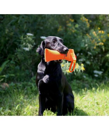 DogBone Firehose Training Dummy - Track, Retrieve & Train Your Dog - Large 3 x 11 - Orange - Buy Online on SooperMarket.com