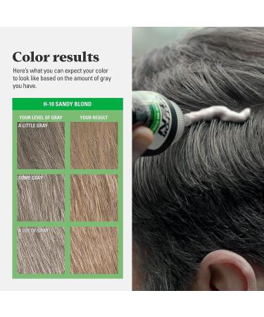 Just For Men Shampoo-In Color Sandy Blond H-10 - Keratin & Vitamin E for Stronger Hair | Pack of 1 - Buy Online on SooperMarket.com