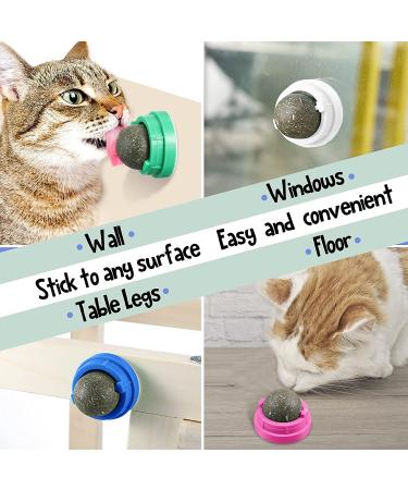 6-Piece Silvervine Catnip Wall Balls - Edible, Rotatable, and Safe Cat Treat Toys with 3 Flavors for Teeth Cleaning and Biting - Buy Online on SooperMarket.com