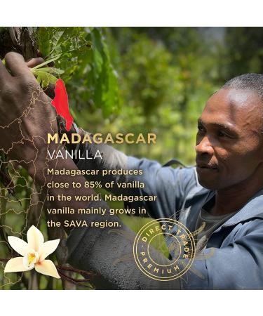 SAVA Madagascar Vanilla Bean Syrup - 100% Pure Gourmet Vanilla w/Organic Cane Sugar - Perfect for Desserts, Cocktails, Ice Cream & Coffee - 5oz - Buy Online on SooperMarket.com