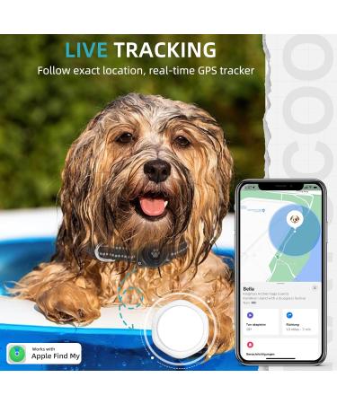 GPS Dog Tracker Mini GPS Tracker Device with Dogs Collar No Monthly Fees Real-Time Location Tracking Works with Apple Find My (iOS Only) IP68 Waterproof Pet Tracker Anti Lost for Dog 1 Pack Black - Buy Online on SooperMarket.com