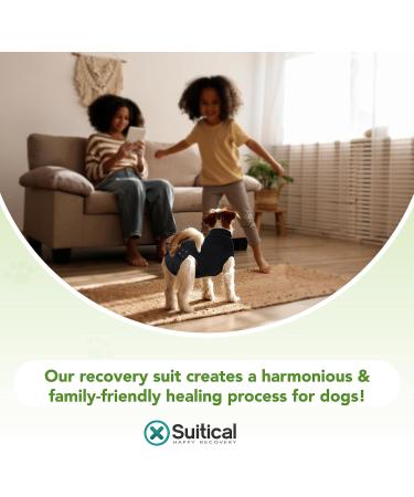 Suitical Recovery Suit for Extra Large Dogs - Black XL - Buy Online on SooperMarket.com