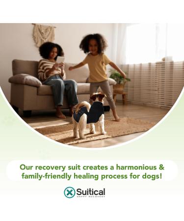 Buy Suitical Recovery Suit for Dogs - M+ Size in Black | Ideal Post-Surgery Pet Wear - International Shipping Available - Buy Online on SooperMarket.com