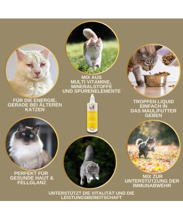 Emma Cat Vitamins 100ml | High Dose B Complex & Essential Nutrients for Immune Support | Vitamins A B12 D E Iron Zinc Selenium & L-Lysine - Buy Online on SooperMarket.com
