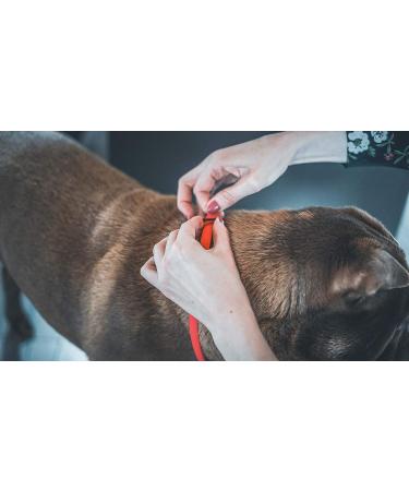 Vetocanis Red Dog Control Collar - 7 Years | Effective Training Solution - Buy Online on SooperMarket.com