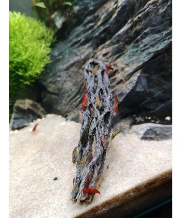 Proximus N1 Cholla Wood aquarium decoration for aquascape shrimp tank fish fry - Buy Online on SooperMarket.com