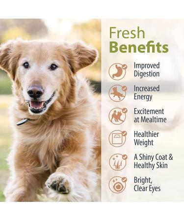 JustFoodForDogs Fresh Frozen Beef & Russet Potato Dog Food - Human Quality Ingredients - 7 Pack - Buy Online on SooperMarket.com