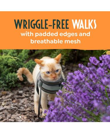 Adjustable Cat Harness and Lead Set - Escape Proof and Safe Design for Kittens - UK Universal Size Cat Leash - Buy Online on SooperMarket.com