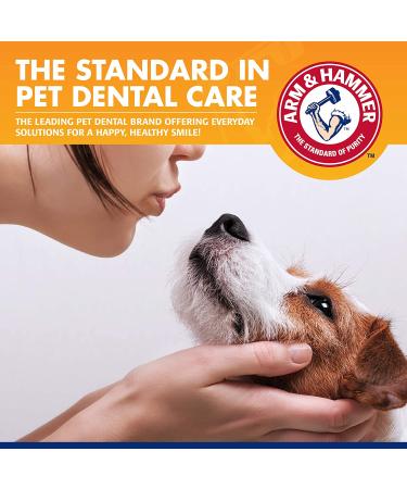 Arm & Hammer Tartar Control Dental Kit for Dogs - Banana Mint Flavor - Buy Online on SooperMarket.com