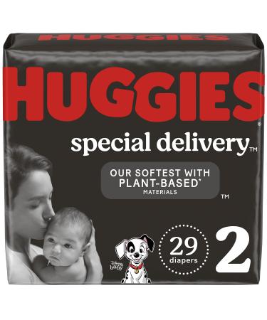 Hypoallergenic Baby Diapers Size 2 (12-18 lbs), Huggies Special Delivery, Fragrance Free, Safe for Sensitive Skin, 29 Ct Size 2 (29 Count)