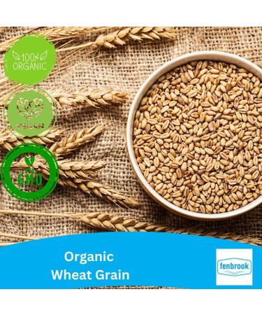 Organic Wheat Grain 2kg | Certified Organic by Fenbrook Organic - Buy Online on SooperMarket.com