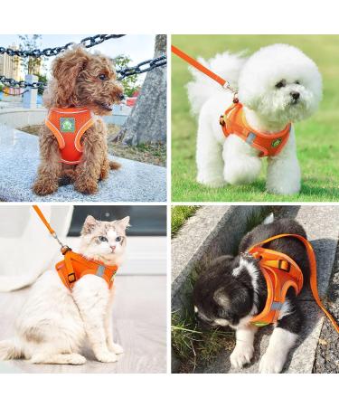 Buy Zhenle Adjustable Cat Harness for Small Animals - Perfect Fit & Comfort for Cats (M) - International Shipping Available - Buy Online on SooperMarket.com