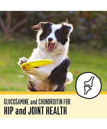 Premium Senior Dog Food for Dogs 7+ Years | Nutritious & Easy to Digest - Buy Online on SooperMarket.com