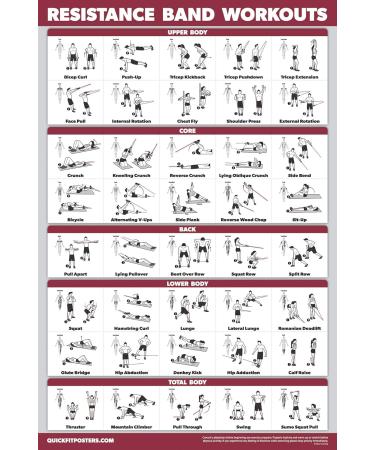 Palace Learning 3-Pack: Dumbbell Exercise Poster Resistance Bands Workouts & Stretching Tables - Laminated 18x24 - Ideal for Home Fitness & International Shipping - Buy Online on SooperMarket.com
