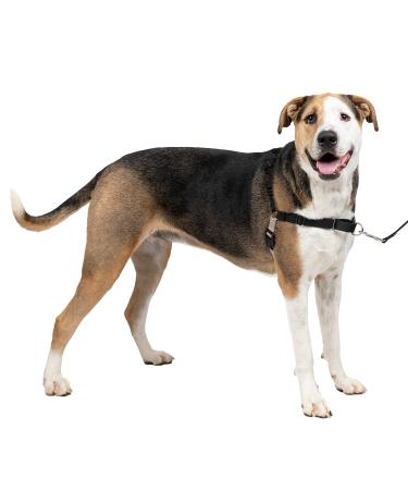 PetSafe Easy Walk Harness Anti-Pull Dog Harness Reduces Choking and Coughing With 1.8M Leash Size XL Black XL Black