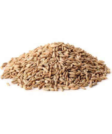 Organic Rye Berries 500g - Perfect for Baking - Certified Organic - Buy Online on SooperMarket.com