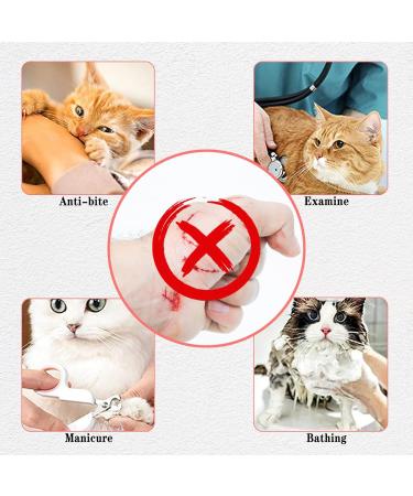 Buy Badaren Cat Muzzle - Breathable Adjustable Mask for Cat Care | Top Quality Mouth Cover with Mesh & PVC Protection (Medium) - Buy Online on SooperMarket.com