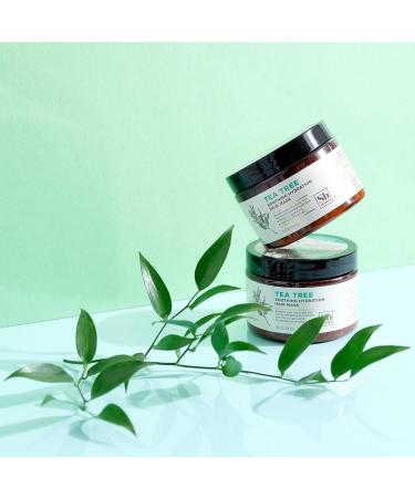Tea Tree Hair Mask with Shea Butter - Purifying and Hydrating Treatment (12 oz x 2) - Buy Online on SooperMarket.com