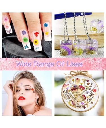 223 Pieces Real Dried Flowers, Leaves & Butterfly Stickers Set - Colorful Natural Daisies & Adhesive Decals for DIY Resin Jewelry & Nail Crafts - Buy Online on SooperMarket.com