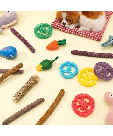 Fanshiontide 14 In 1 Bunny Chew Toys for Teeth Rabbit Chew Toys Timothy Hay Sticks Rabbit Toys Boredom Breaker Loofah Wood Grass Carrots Corn Chew Toys for Rabbit Guinea Pig Hamster Chinchilla - Buy Online on SooperMarket.com