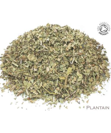 Organic Plantain Leaf Pure Herbal Infusion (25 Unbleached Tea Bags - 50g) - Buy Online on SooperMarket.com