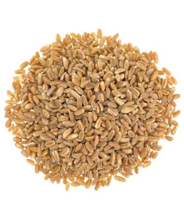Organic Italian Pearled Farro 5 Pounds - Non-GMO, Kosher, Vegan Whole Grain. High Fiber & Protein. Sodium & Sugar Free - Bulk Pack - Buy Online on SooperMarket.com
