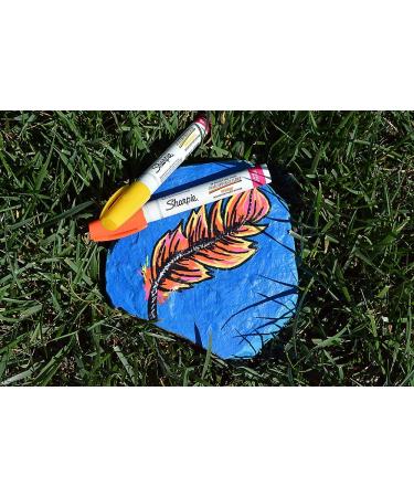 Sharpie Oil-Based Paint Markers 5 Count - Medium & Metallic Colors for Rock Painting - Buy Online on SooperMarket.com