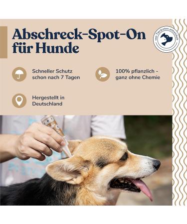 Felmo Spot-On for Dogs 50ml | Natural Tick & Flea Protection with Black Cumin Oil | Vet Recommended - Buy Online on SooperMarket.com
