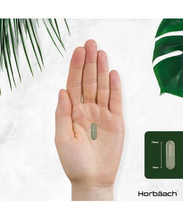 Sage Menopause Tablets 4000mg | Hot Flush Relief Supplement | 120 Vegan Tablets by Horbaach - Buy Online on SooperMarket.com
