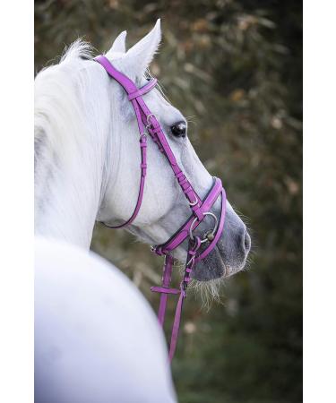 Indira Bridle Pro for Cob & Small Horses - Premium Pink 01 | International Shipping Available - Buy Online on SooperMarket.com