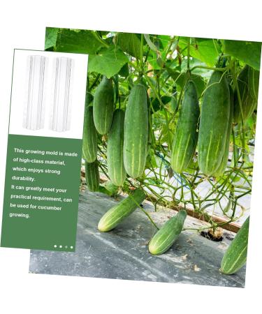 Milisten 9 Pcs Vegetable Shaping Mold Watermelon Strawberry - Buy Online on SooperMarket.com
