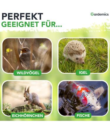 Gardemics Dried Mealworms 5L - Premium Insect Feed for Birds Fish Reptiles & More | 800g - Buy Online on SooperMarket.com