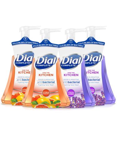 Dial Complete Antibacterial Foaming Hand Wash for Kitchen Fresh Lavender Scent/Citrus Sunburst 15 fl oz (Pack of 4)