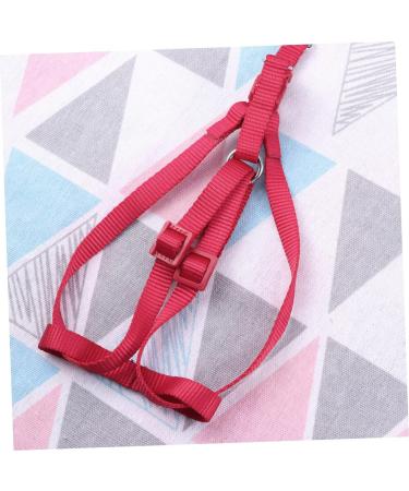 Balacoo Flight Harness for Cockatiels Parrot Harness Training Parrot Bird Harness Parakeet Cinch Belt Birdemic Parrot Accessories Birds Leash Bird Collars Small Parrot Strap Red - Buy Online on SooperMarket.com