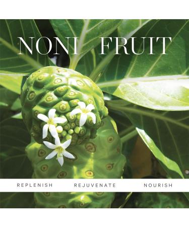 KORA Organics Noni Night AHA Serum - Organic Resurfacing & Smoothing | Cruelty-Free Skincare (1.01 fl oz - Buy Online on SooperMarket.com