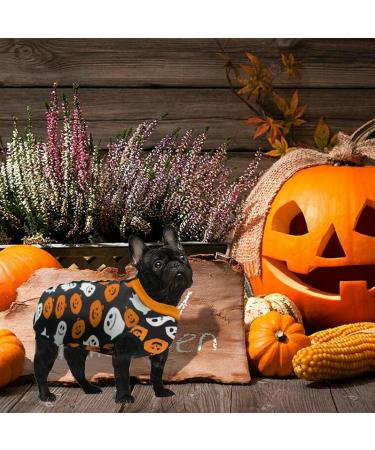 Buy Hipet Recovery Suit for Dogs & Cats - Prevent Licking Wound Healing & Skin Care | Male/Female | E-Collar Alternative | Size L (Halloween) - Buy Online on SooperMarket.com