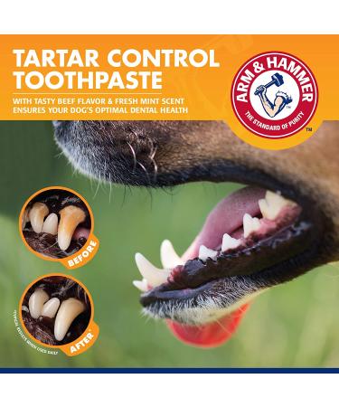 Arm & Hammer Tartar Control Dental Kit for Dogs - Beef Flavor | Freshens Breath & Supports Oral Health - Buy Online on SooperMarket.com