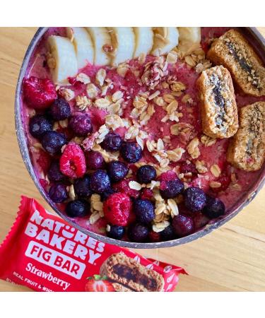 Nature's Bakery Fig Bar - 40 Pack, 5 LBS - 40 Count Pack - Delicious Snack Bars - Buy Online on SooperMarket.com