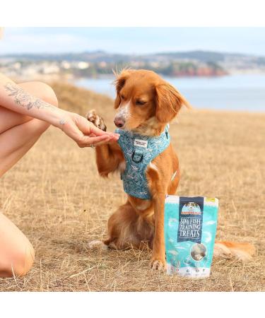 SKIPPER'S Training Treats for Dog Chews and Puppy Training Treats 500g - Source of Omega 3 Grain Free Good for Digestion 100% Natural Ingredients No Additives 500 g (Pack of 1) - Buy Online on SooperMarket.com