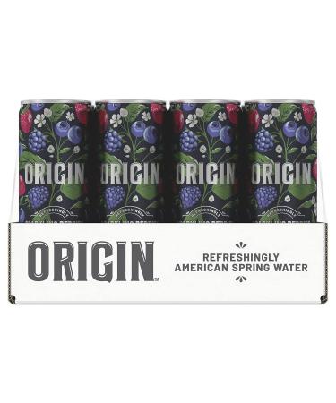 Buy ORIGIN Organic & Non-GMO Berry Flavor Sparkling Water - 12 Fl Oz (Pack of 12) | Refreshing & Healthy Beverage | Eco-Friendly Aluminum Cans - Buy Online on SooperMarket.com