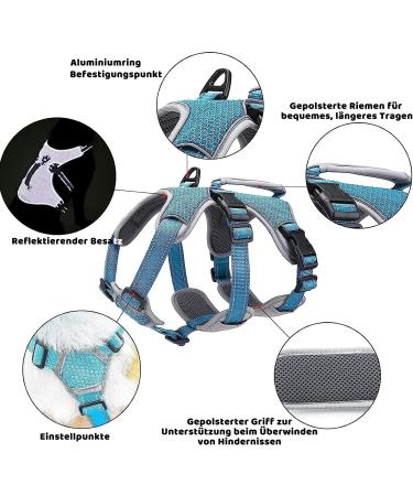 Buy Belpro Multi-Purpose Dog Harness - No Pull Reflective Adjustable Vest for Large Dogs - Durable Handle & Dog Dishes - Ideal for Active Dogs (Blue M) - Buy Online on SooperMarket.com