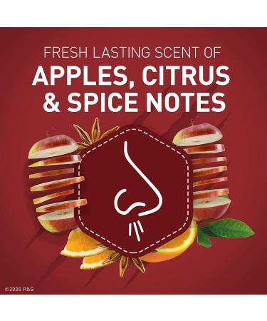 Old Spice Bearglove Scent Aluminum-Free Deodorant for Men | 48-Hour Protection | 3 oz (Pack of 3) - Buy Online on SooperMarket.com