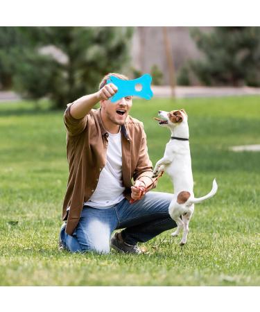 Qaziuy 4-Piece Tick Card Set with Magnifying Glass - Ideal for Pets & People - Durable Elastic Cord - Blue & Green - Buy Online on SooperMarket.com