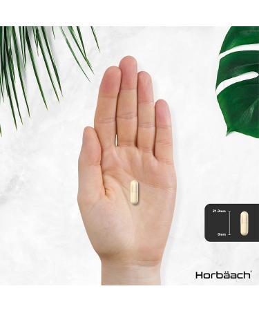 Phosphatidylserine Supplement 500mg | 90 Vegan Capsules | Phosphatidylcholine Complex | No Artificial Preservatives - Buy Online on SooperMarket.com