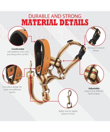 Alpha Boy Dog Training Collar | Comfortable Real Leather Harness for All Breeds | Easy-to-Use with Quick Lock Buckle (XXL) - Buy Online on SooperMarket.com