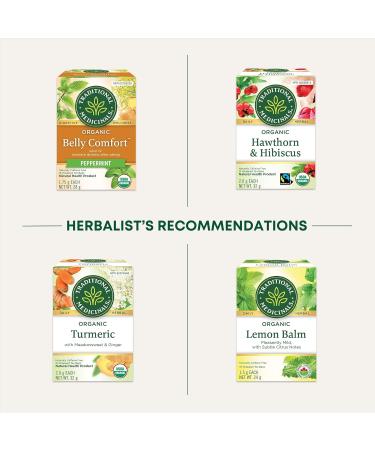 Traditional Medicinals - Organic Ginger Herbal Tea (Pack of 6) - Pleasantly Spicy & Warming - 96 Tea Bags Total Tea Ginger 16 Count (Pack of 6) - Buy Online on SooperMarket.com